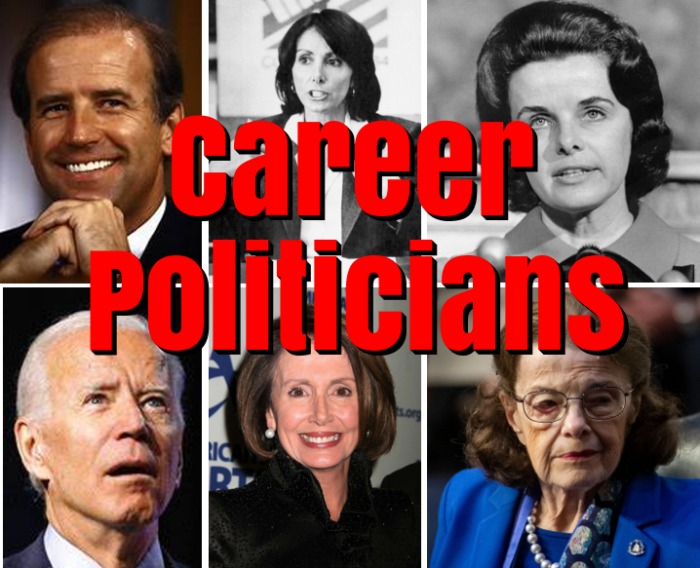 Career Politicians in America